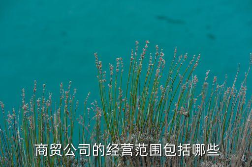  商貿公司的經營范圍包括哪些