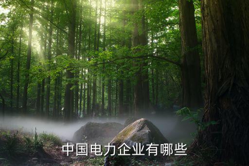 中電投宣化新能源發電有限公司,江西中電投新能源發電有限公司是國企嗎