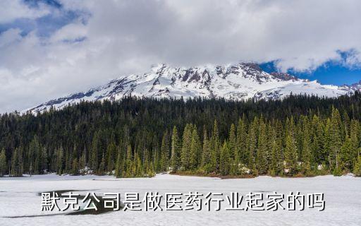  默克公司是做醫藥行業起家的嗎