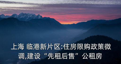  上海 臨港新片區:住房限購政策微調,建設“先租后售”公租房