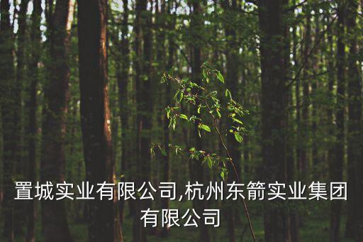杭州置城實業有限公司,杭州東箭實業集團有限公司