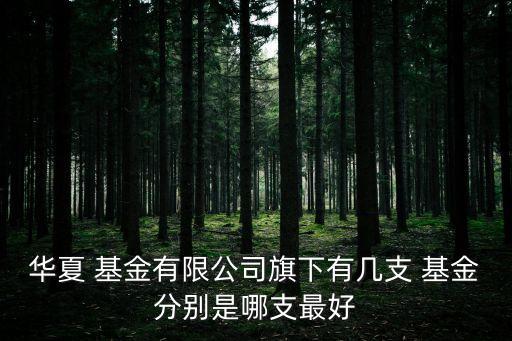 基金160314分紅,華夏行業精選160314分紅了嗎