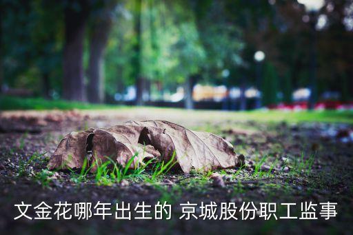 文金花哪年出生的 京城股份職工監事