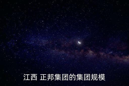 江西 正邦集團的集團規模