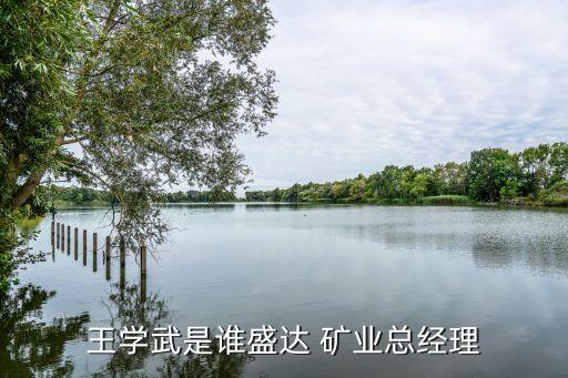 王學武是誰盛達 礦業總經理