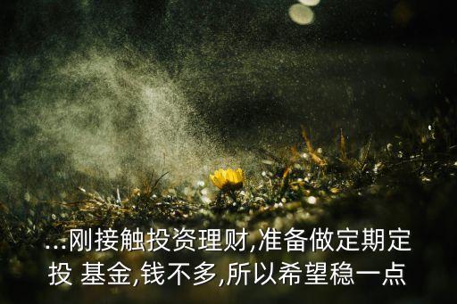 ...剛接觸投資理財,準備做定期定投 基金,錢不多,所以希望穩一點
