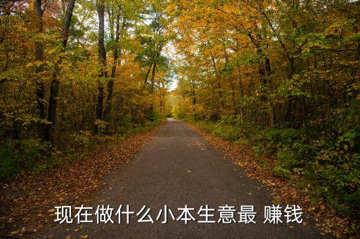 現在做什么小本生意最 賺錢