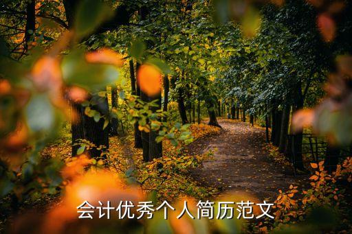 會計優秀個人簡歷范文