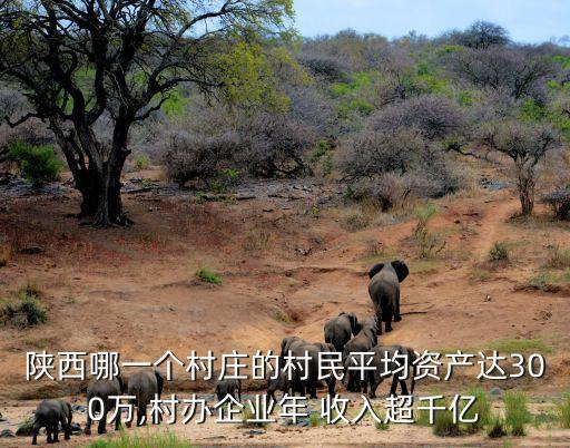 陜西哪一個村莊的村民平均資產達300萬,村辦企業年 收入超千億