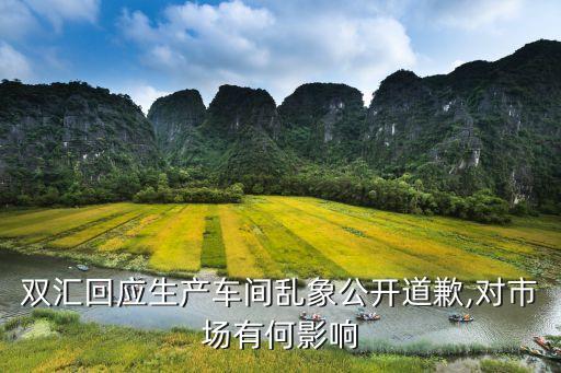 關于雙匯集團的壞賬損失