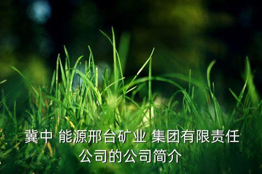  冀中 能源邢臺礦業 集團有限責任公司的公司簡介