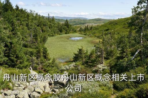 舟山新區概念股舟山新區概念相關上市公司