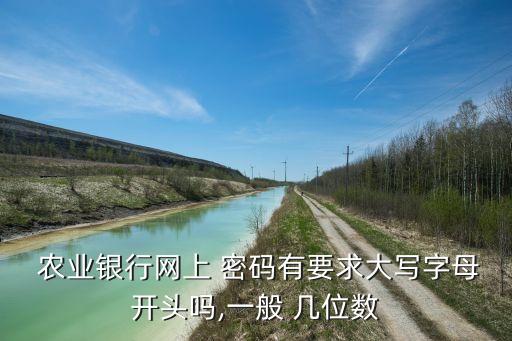  農業銀行網上 密碼有要求大寫字母開頭嗎,一般 幾位數