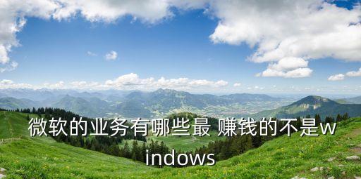  微軟的業務有哪些最 賺錢的不是windows