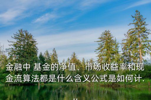 金融中 基金的凈值、市場收益率和現(xiàn)金流算法都是什么含義公式是如何計...