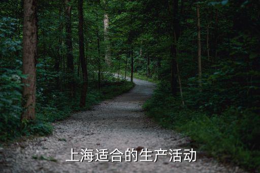  上海適合的生產活動