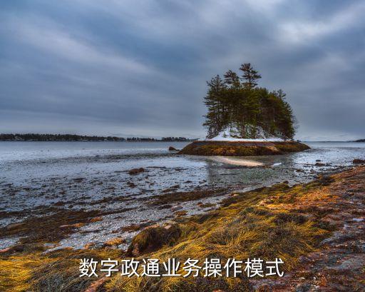 北京數字政通業務操作模式
