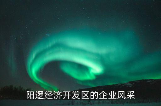 陽邏經濟開發區的企業風采