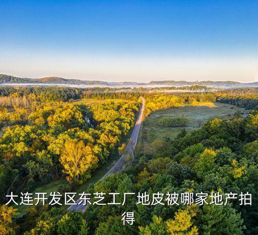 大連開發區東芝工廠地皮被哪家地產拍得