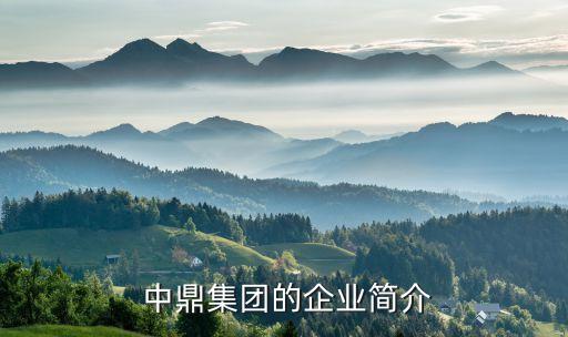 中鼎集團的企業簡介
