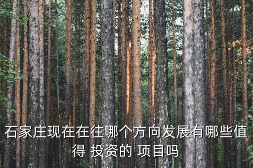石家莊現在在往哪個方向發展有哪些值得 投資的 項目嗎