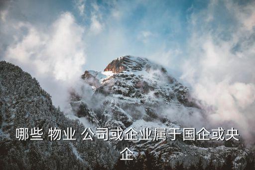上市的物業公司有哪些,a股上市物業公司有哪些