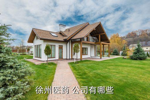 徐州醫藥 公司有哪些