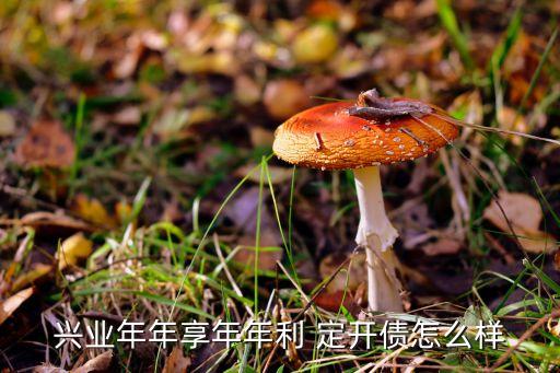 興業年年享年年利 定開債怎么樣