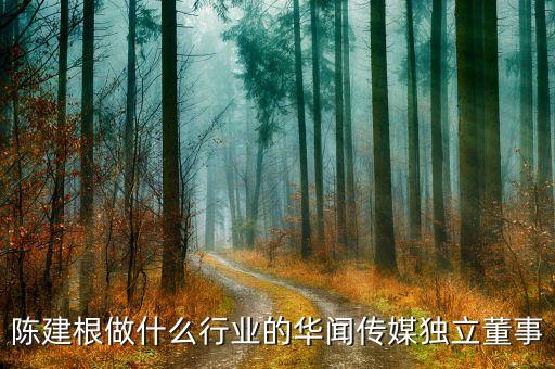 陳建根做什么行業的華聞傳媒獨立董事