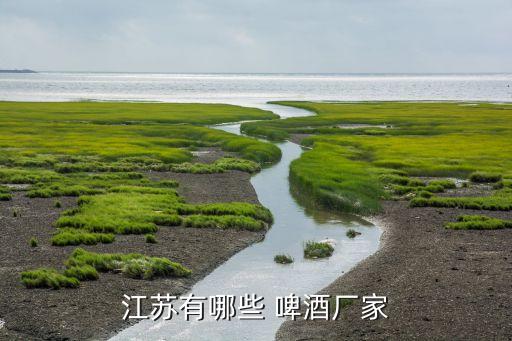 青島啤酒宿遷有限公司聯系電話,宿遷雙星彩塑新材料有限公司聯系電話