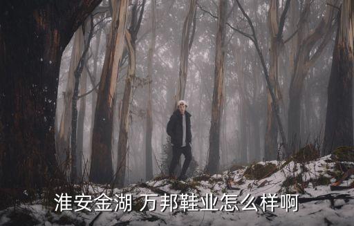 淮安金湖 萬邦鞋業怎么樣啊