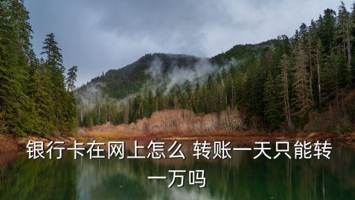  銀行卡在網(wǎng)上怎么 轉賬一天只能轉一萬嗎