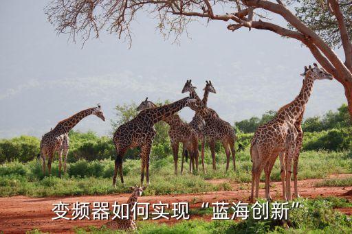 變頻器如何實現“藍海創新”