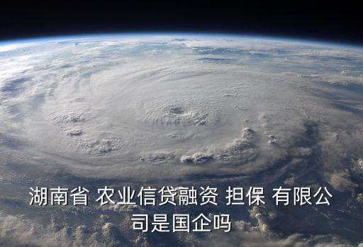 湖南省 農業信貸融資 擔保 有限公司是國企嗎