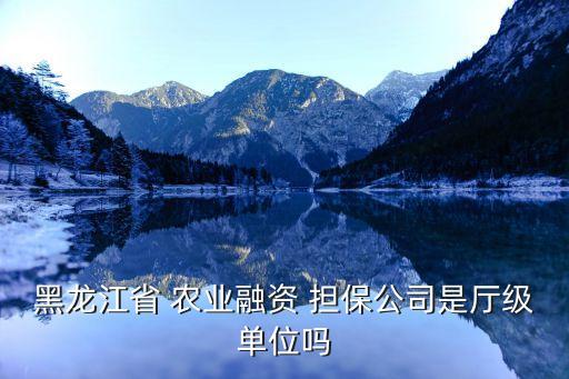 財政農業投資擔保有限公司,周口市財政信用投資擔保有限公司