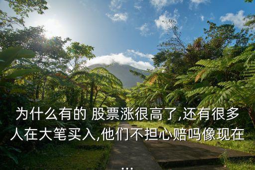 為什么有的 股票漲很高了,還有很多人在大筆買入,他們不擔心賠嗎像現在...