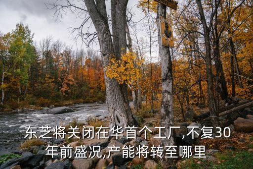 東芝將關閉在華首個工廠,不復30年前盛況,產能將轉至哪里