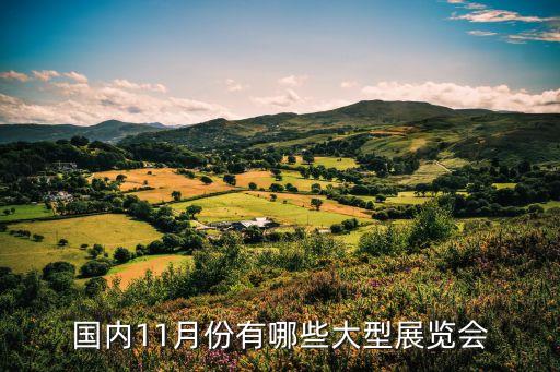 國內11月份有哪些大型展覽會