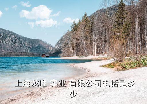  上海龍勝 實業 有限公司電話是多少