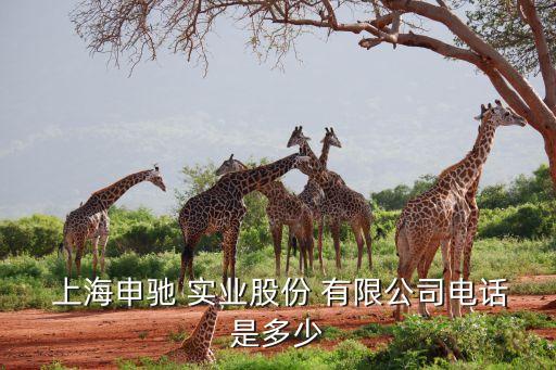  上海申馳 實業股份 有限公司電話是多少