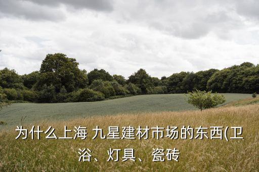 為什么上海 九星建材市場的東西(衛(wèi)浴、燈具、瓷磚