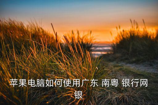 蘋果電腦如何使用廣東 南粵 銀行網銀