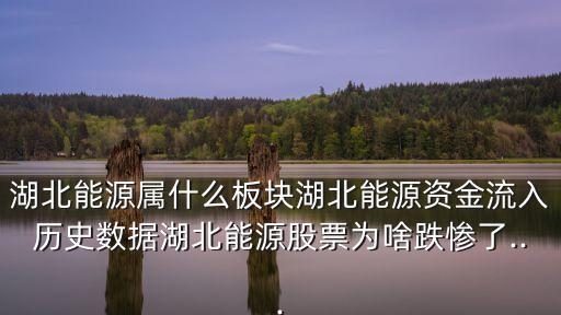 湖北能源屬什么板塊湖北能源資金流入歷史數據湖北能源股票為啥跌慘了...