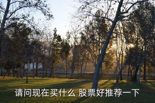 請(qǐng)問(wèn)現(xiàn)在買(mǎi)什么 股票好推薦一下