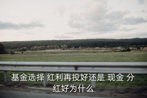 基金選擇 紅利再投好還是 現金 分紅好為什么