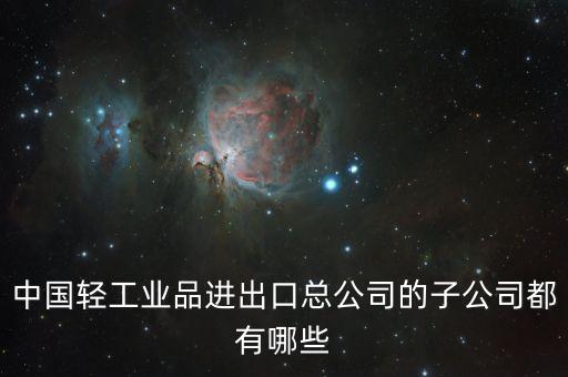 中國輕工業品進出口總公司的子公司都有哪些