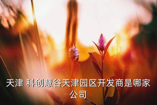 天津 科創慧谷天津園區開發商是哪家公司