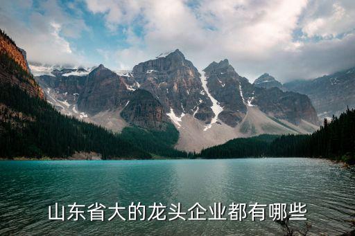 諸城臨工橋箱有限公司,臨工華星電動(dòng)橋有限公司注冊