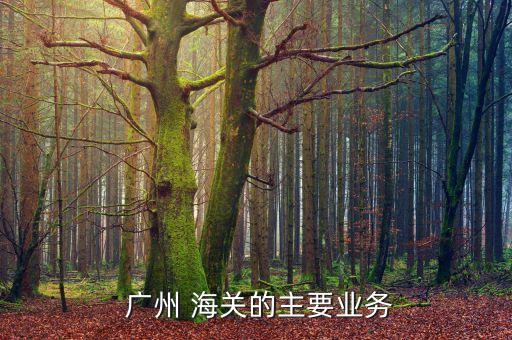  廣州 海關的主要業務