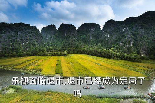 樂視投資uber,鎮魂樂視投資